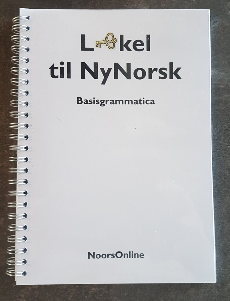 boekje basisgrammatica Noors Nynorsk